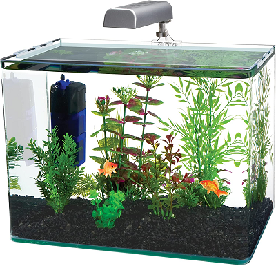 best 5 gallon aquarium