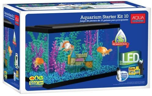 best 10 gallon aquarium