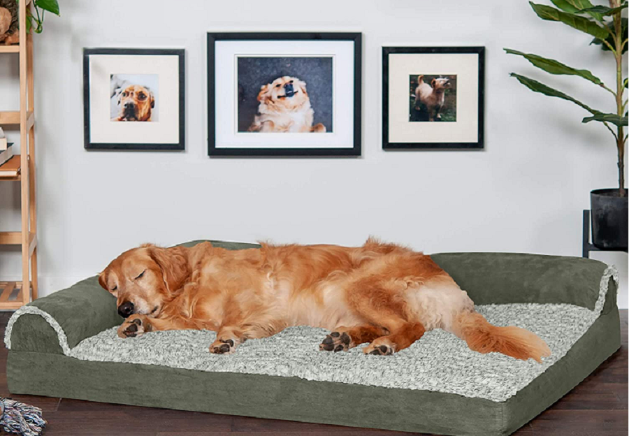 how to choose a luxury dog beds